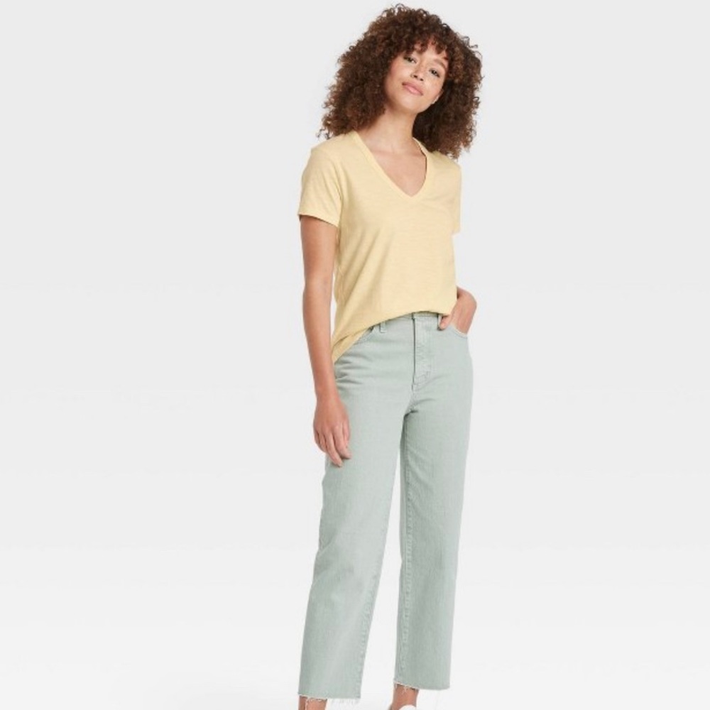Everyday V-neck Tee